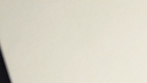 Sofía Vergara y Joe Manganiello