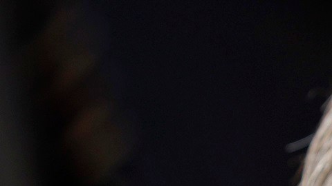 El gobernador Greg Abbott tuvo un revés en una corte por una ley de inmigración.