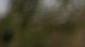 Donald Trump tiene un duro plan de deportaciones a partir del 21 de enero de 2025.