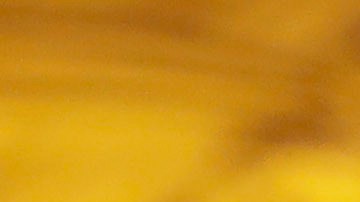 Emanuel 'Vaquero' Navarrete