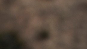 Violencia en México