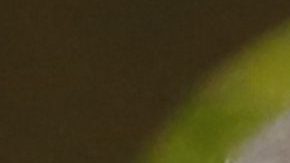 Trump y Biden cumplen con pronóstico y ganan las primarias de Michigan