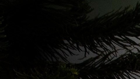 México, en labor de parto de la vacuna Patria