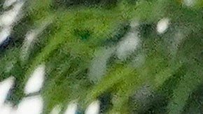 A patient is loaded onto an ambulance outside of the emergency entrance to PIH Health Good Samaritan Hospital Tuesday, Jan. 5, 2021, in Los Angeles. (AP Photo/Marcio Jose Sanchez)