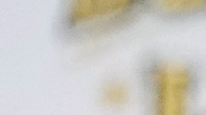 Isaac 'Pitbull' Cruz