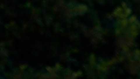 EE.UU. tuvo que atender a cientos de niños inmigrantes sin familiares que entraron al país durante 2021.