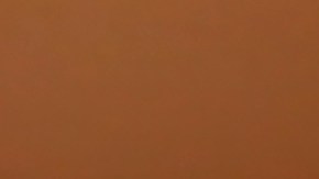 El senador demócrata Alex Padilla rechaza orden ejecutiva del presidente Biden.