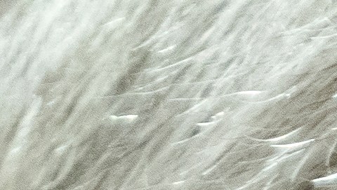 Republicanos citan al Departamento de Justicia para obtener material de la investigación de Biden del fiscal especial