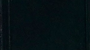 Biden envío a su perro Commander con familiares tras incidentes de mordidas a más de 20 agentes