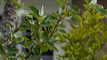 ICE prioriza el arresto y deportación de inmigrantes considerados una amenaza a la seguridad pública.