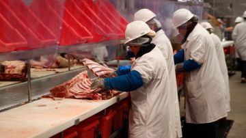 Los menores no pueden realizar ocupaciones peligrosas como las que se efectúan en mataderos y procesadoras de carne.
