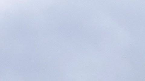 Cinco posiciones en el Congreso se decidirán en elecciones especiales.