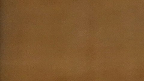 Biden está bien de salud y en condiciones de desempeñar su cargo, según su médico