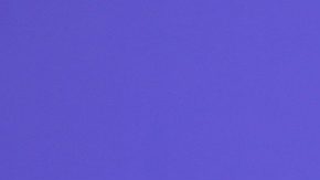 Óscar de la Hoya y Holly Sonders