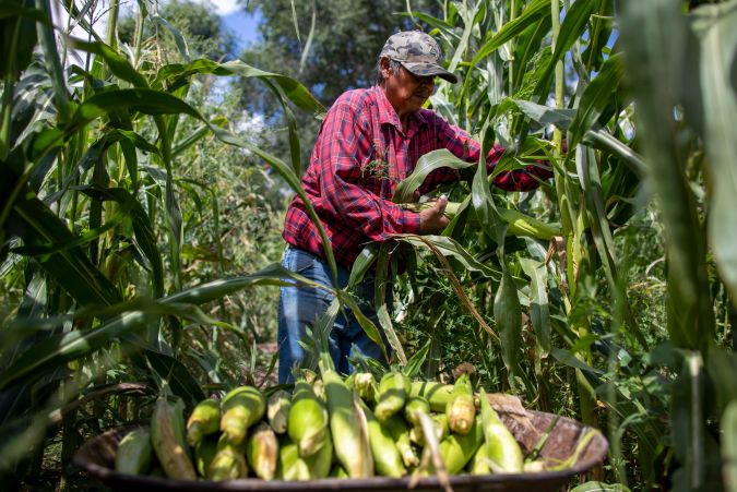 El lado avaricioso del T-MEC cobra el éxito a los mexicanos con agua, desertificación y violencia