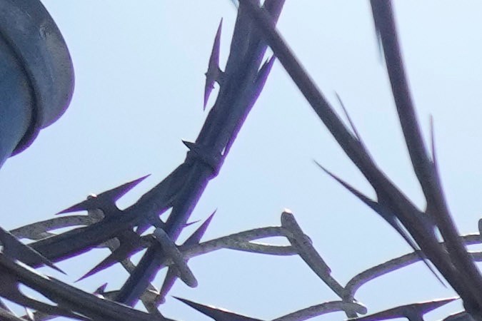 Fencing and barbed wire is seen outside portable buildings that house educational programs during a media tour at San Quentin State Prison in San Quentin, Calif., Wednesday, July 26, 2023. In March of 2023 Gov. Gavin Newsom announced California intends to transform the prison into the San Quentin Rehabilitation Center. (AP Photo/Eric Risberg)