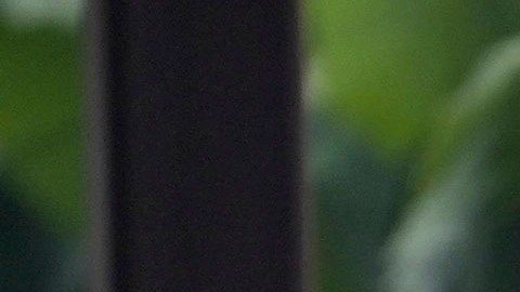 Ex subdirector del FBI: Venezuela está vaciando sus cárceles para enviar criminales a EE.UU.