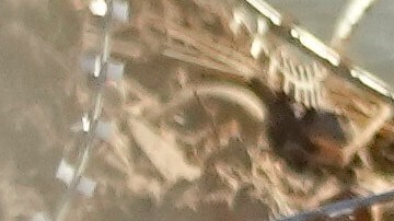 Evangélicos de EE.UU. piden mayores restricciones al ingreso de inmigrantes.