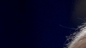 El expresidente Trump y el presidente Biden.