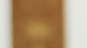 Donald Trump, con sus abogados Christopher Kise y Alina Habba, asistió a los alegatos finales en el juicio por fraude civil de la Organización Trump.