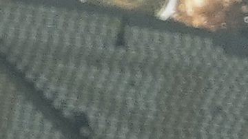 FILE - Argentina's Lionel Messi celebrates with the trophy in front of the fans after winning the World Cup final soccer match between Argentina and France at the Lusail Stadium in Lusail, Qatar, Sunday, Dec. 18, 2022. Lionel Messi has been named FIFA’s best men’s player after moving to Inter Miami and leading the team to a little-known Leagues Cup title, all while single-handedly elevating soccer’s relevance in the United States. The 36-year-old Argentina star on Monday was selected over Kylian Mbappe and Erling Haaland — the same pair he beat for his eighth Ballon d’Or award last October. (AP Photo/Martin Meissner, File)