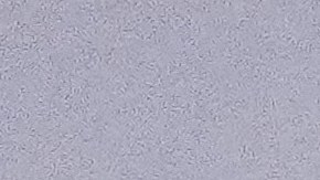 Kamala Harris habla para defender los derechos reproductivos en un mitin electoral realizado en Wisconsin.