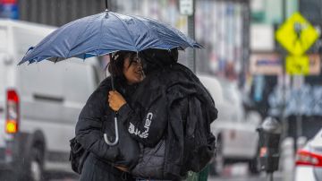 A couple shelters from the rain under a single umbrella downtown Los Angeles on Monday, Feb. 5, 2024. The weather service predicts up to 8 inches (20 centimeters) of rainfall across Southern California's coastal and valley areas, with 14 inches (35 centimeters) possible in the foothills and mountains over the next two days. (AP Photo/Damian Dovarganes)
