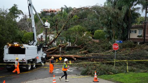 City workers help to remove a eucalyptus tree that fell onto a house and over power lines along Bundy Drive in the Brentwood section of Los Angeles on Tuesday, Feb. 6, 2024. One of the wettest storms in Southern California history unleashed nearly 400 mudslides in the Los Angeles area after dumping more than half of the city's seasonal rainfall in just two days, and officials warned Tuesday that the threat hadn't passed yet. (AP Photo/Damian Dovarganes)