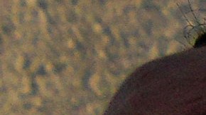 Sebastián Piñera tendrá un funeral de Estado: ¿Cómo será la despedida al expresidente chileno?