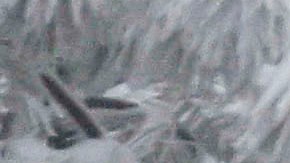 A car drives on the Sunrise Highway through the Cleveland National Forest Wednesday, Feb. 7, 2024, in eastern San Diego County, Calif. According to the National Weather Service snow level is down to 4500 feet in the San Diego County mountains. (AP Photo/Denis Poroy)