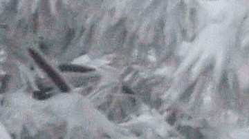 A car drives on the Sunrise Highway through the Cleveland National Forest Wednesday, Feb. 7, 2024, in eastern San Diego County, Calif. According to the National Weather Service snow level is down to 4500 feet in the San Diego County mountains. (AP Photo/Denis Poroy)