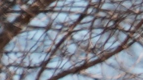 Al menos 6 personas desaparecidas en casa de Pensilvania que se incendió durante un tiroteo