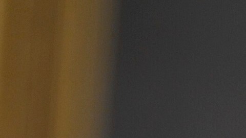 La campaña del presidente Biden reconoce que no puede dar el voto latino por sentado.