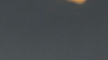 Para cumplir su promesa de deportaciones masivas, el expresidente Trump aplicaría la Ley de Insurrección.