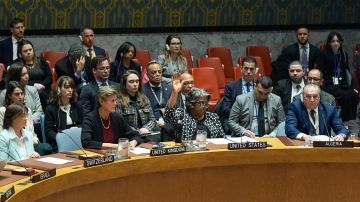 EE.UU. veta resolución de la ONU que pide alto el fuego inmediato en Gaza tras proponer cese temporal de combates