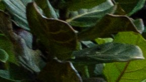 A home damaged by land movement is seen as recent storms intensify the condition, prompting street closures in Rancho Palos Verdes, Calif., Tuesday, Feb. 20, 2024. Much of saturated California remains under threat of floods as the latest winter storm blows through, but so far the state has escaped the severity of damage spawned by a recent atmospheric river. (AP Photo/Jae C. Hong)