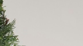 El líder de la minoría en la Cámara, Hakeem Jeffries, y el líder del Senado, Chuck Schumer.