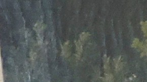 El saludo de Kylian Mbappé con la Primera Dama de Francia, con el presidente Emmanuel Macron y con el emir de Qatar.