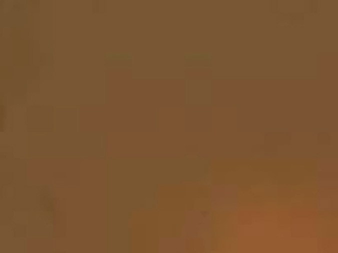 Un incendio forestal que arrasa el Panhandle de Texas es el segundo incendio más grande en la historia del estado.