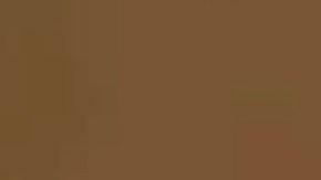 Un incendio forestal que arrasa el Panhandle de Texas es el segundo incendio más grande en la historia del estado.