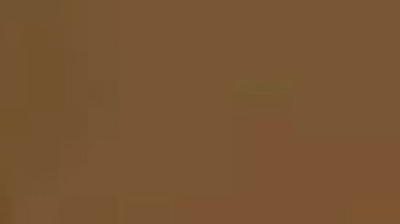 Un incendio forestal que arrasa el Panhandle de Texas es el segundo incendio más grande en la historia del estado.