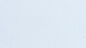 La sede de la Corte Suprema de Estados Unidos en Washington D.C..