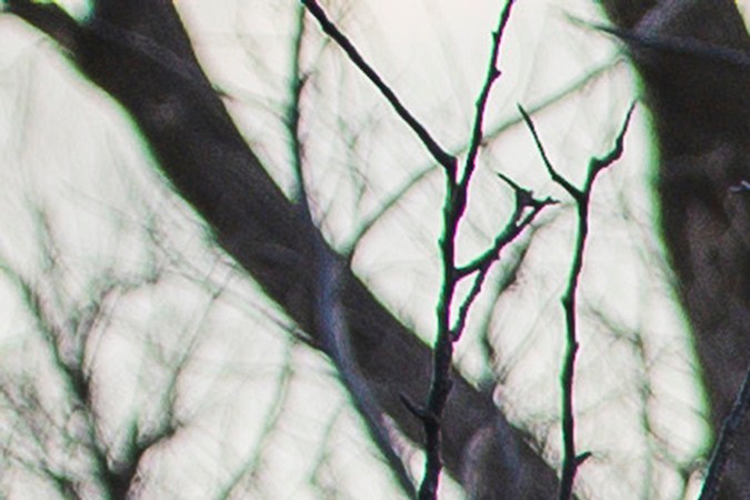 ¿Por qué se expandió tan rápido el incendio forestal Smokehouse Creek, el más grande en la historia de Texas?