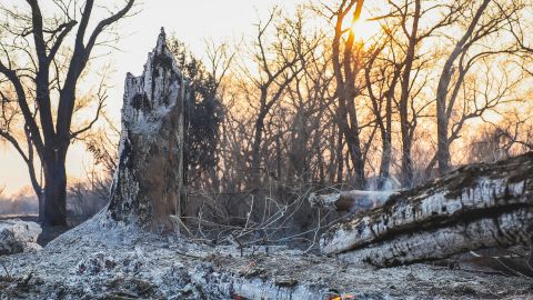 ¿Por qué se expandió tan rápido el incendio forestal Smokehouse Creek, el más grande en la historia de Texas?