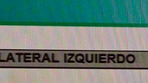 Miguel Ángel Treviño Morales