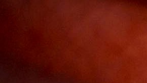 Hermano de mexicano detenido en Qatar por homosexual pide ayuda del Gobierno de México