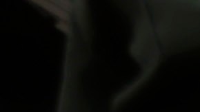 A U.S. Customs and Border Patrol agent and K-9 security dog keep watch at a checkpoint station, Friday, Feb. 22, 2013, in Falfurrias, Texas. (AP Photo/Eric Gay)