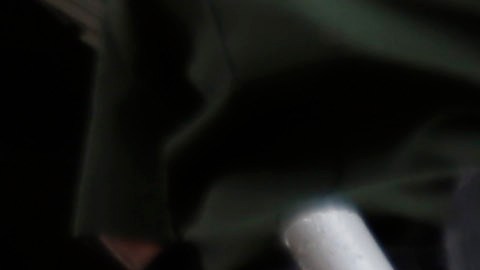 A U.S. Customs and Border Patrol agent and K-9 security dog keep watch at a checkpoint station, Friday, Feb. 22, 2013, in Falfurrias, Texas. (AP Photo/Eric Gay)