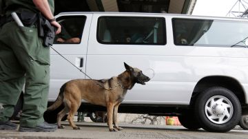 A U.S. Customs and Border Patrol agent and K-9 security dog keep watch at a checkpoint station, Friday, Feb. 22, 2013, in Falfurrias, Texas. (AP Photo/Eric Gay)