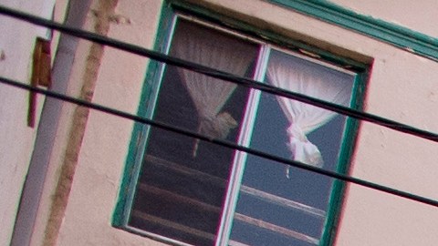 This Tuesday, Jan. 12, 2016m photo shows the apartment building in the Westlake section of Los Angeles where Marvin Velasco says he was abused. In September 2014, the 14-year-old from Guatemala was sent to the tiny apartment of a distant relative whom he had never met, where he was held for three weeks. Marvin says his sponsor deprived him of food, which left him weak and praying for his salvation. (AP Photo/Mark J. Terrill)
